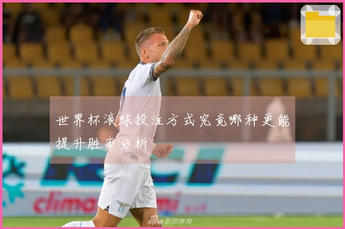 世界杯滚球投注方式究竟哪种更能提升胜率分析