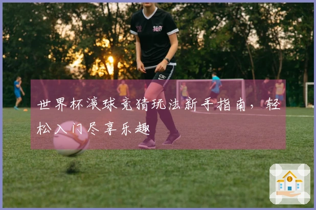 世界杯滚球竞猜玩法新手指南，轻松入门尽享乐趣