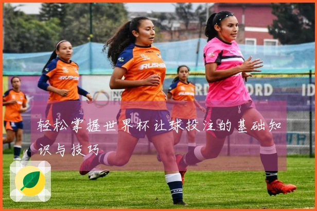 轻松掌握世界杯让球投注的基础知识与技巧