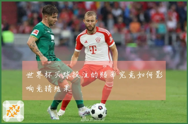 世界杯买球投注的赔率究竟如何影响竞猜结果