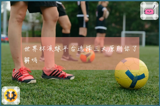 世界杯滚球平台选择三大原则你了解吗