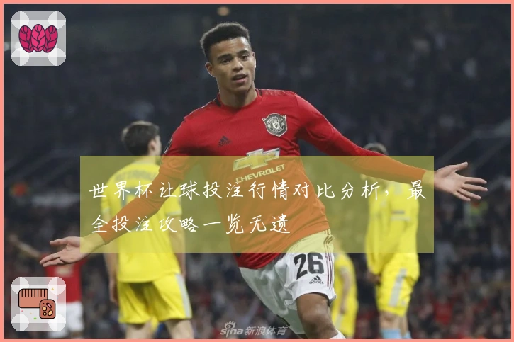 世界杯让球投注行情对比分析，最全投注攻略一览无遗
